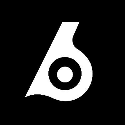 Birdeye Data Services profile